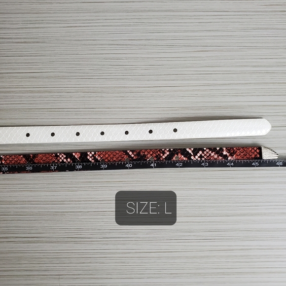 NWT Free Press Belt Set White / Rose & Black - Picture 7 of 7